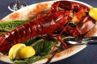 Cooked lobster